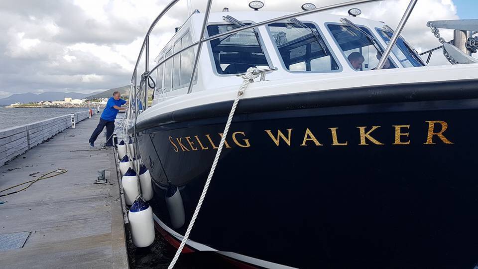 Cygnus Boats | Skellig Walker Cruises | Luxurious transfer to Skellig Michael and the Skellig Coast